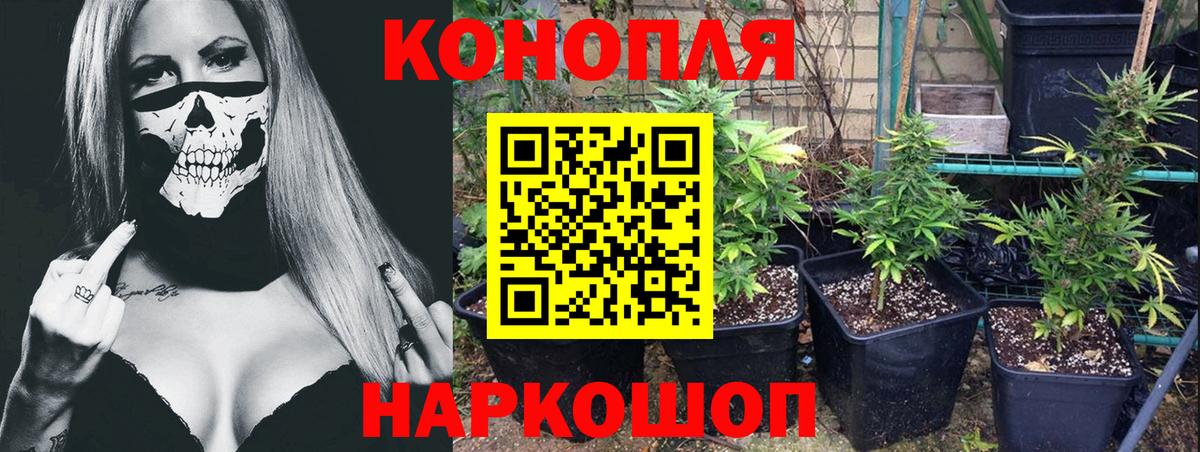 Конопля конопля Новый Уренгой